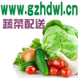 為什么要吃有機蔬菜？廣州農產品配送公司gzhdwl.cn為您解讀健康生活新風尚